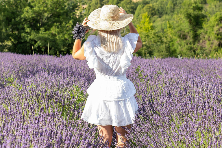 Provence: Private photoshoot by a professional photographer Provence: 1 hour photoshoot by a professional photographer