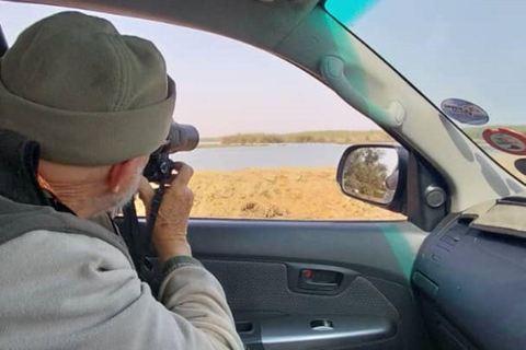 Walvis Bay: Fågelskådning och fotografering