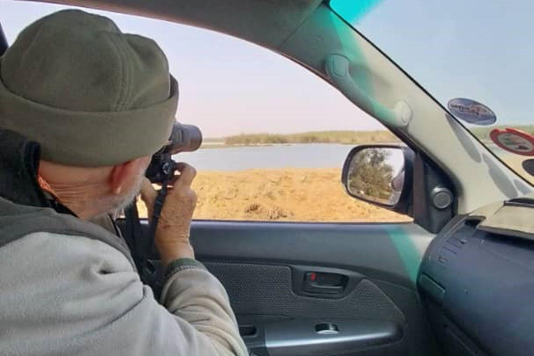 Walvis Bay: Obserwacja ptaków i wycieczka fotograficzna