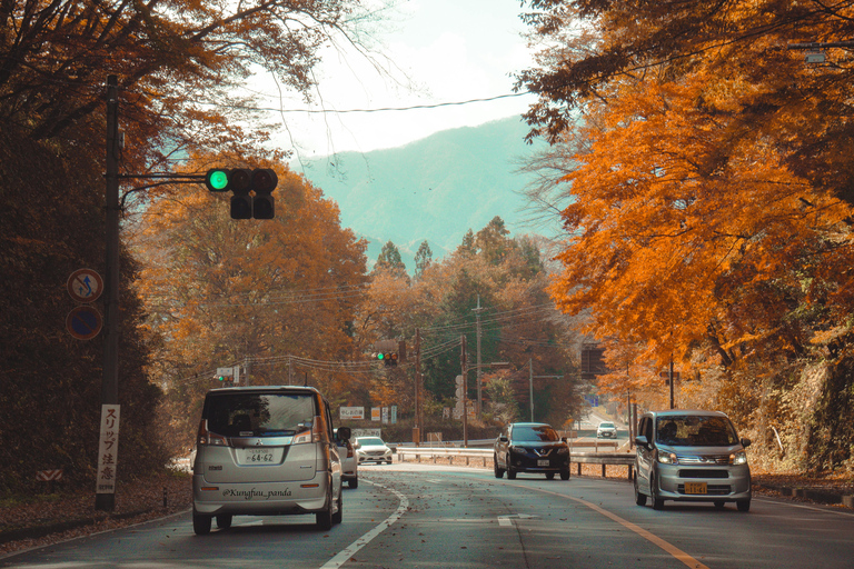 Tokyo: Nikko Private Tour with English Speaking Driver Comfortable sedan