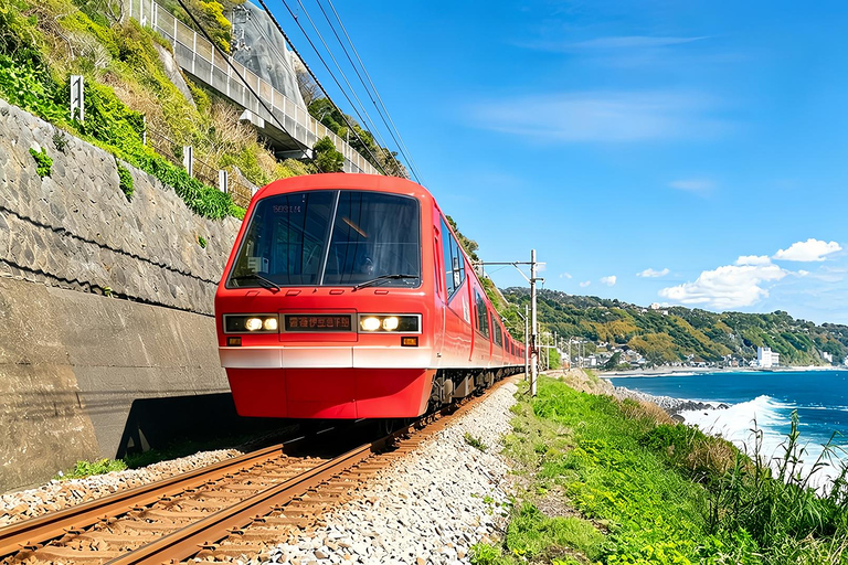 Small Group Day Tour:Omuro Mountain & the Izu Scenic Railway Hotel Transfer Option