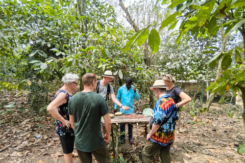 Accra: Giardino Botanico di Aburi, Fattoria del Cacao e Cascata ...