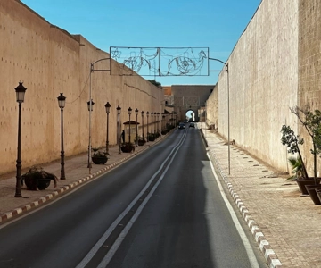 Meknes: Rondleiding met entree