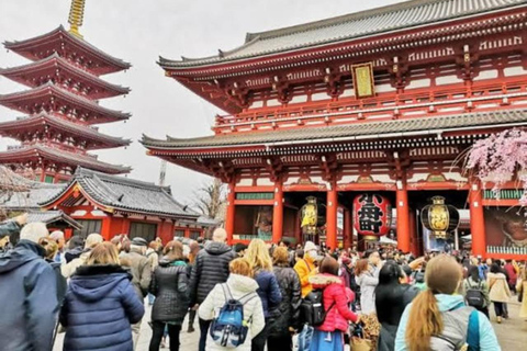 Jednodniowa prywatna wycieczka do Tokio z angielskim przewodnikiem