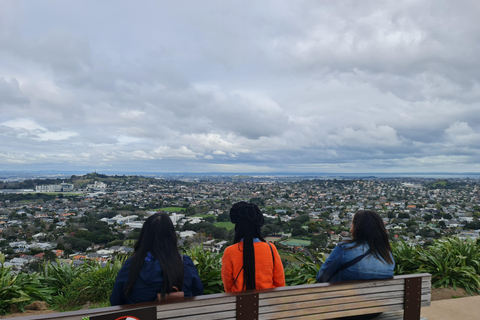 Tour di un giorno intero dei punti salienti della città di Auckland