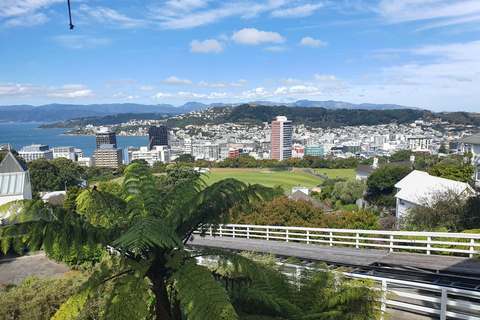 Auckland: 23-Day New Zealand Tour with Accommodation