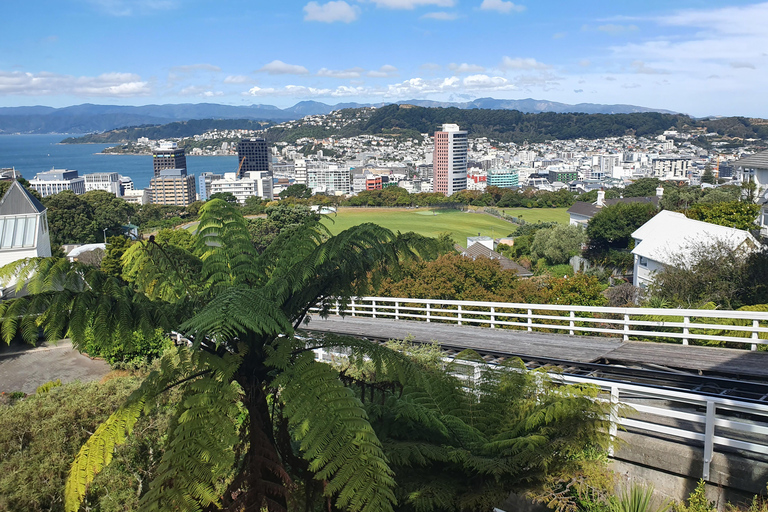 Auckland: 23-Day New Zealand Tour with Accommodation