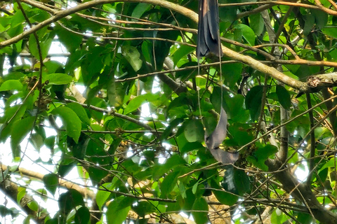 Santuario de My Son y Senderismo de Montaña - PeregrinaciónMi hijo Santuario Viaje de madrugada