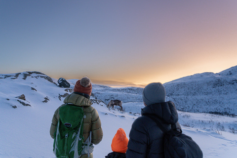From Tromsø: Snowshoe Hike with Local Guides