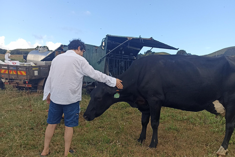 Tour del formaggio di Sao Jorge - mezza giornataTour del formaggio di Sao Jorge - Mezza giornata