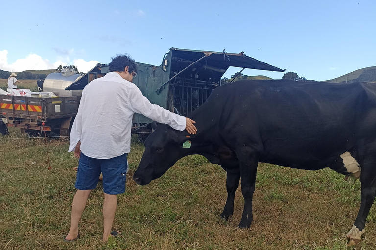 Visite d&#039;une demi-journée au fromage de Sao Jorge