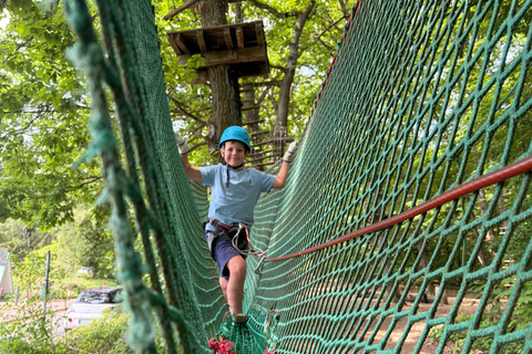 Kelkheim: Outdoor climbing experience in the forest ropes course with circuit and zip lines