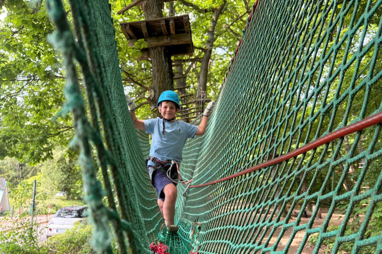 Kelkheim: Outdoor climbing experience in the forest ropes course with circuit and zip lines
