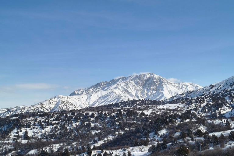 From Tashkent: Amirsoy, Chimgan & Charvak Mountain Day Trip For Local Visitors