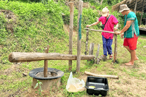 Chiang Mai: Día Completo Santuario Ético de Elefantes y Cascada