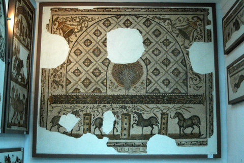 Private tour of the Bardo Museum with round-trip transportation from Tunis