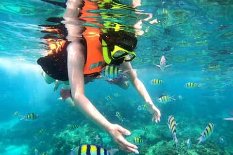 Phuket : excursion journee complete iles Phi Phi, Maya, Bamboo et Khai
