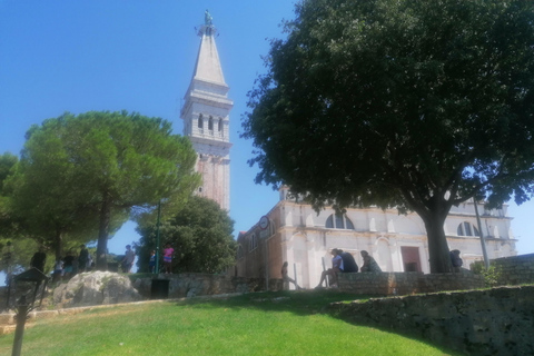 Istria en un día: Tour privado con cata de vino y aceite