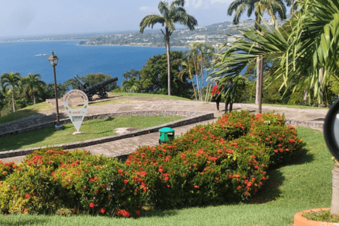 Tobago: Island Tour with Lunch and Hotel Pickup
