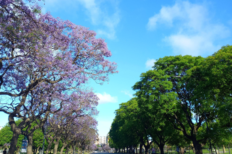 Buenos Aires: Private City Tour with Local Guide