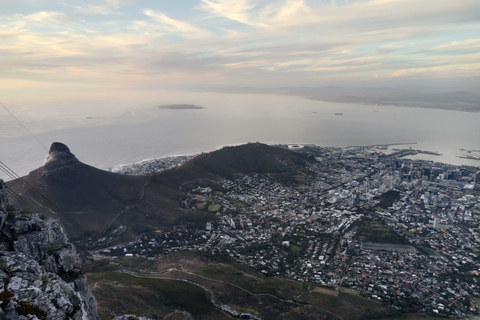 Città del Capo: Tour di mezza giornata della Table Mountain con giro in funivia