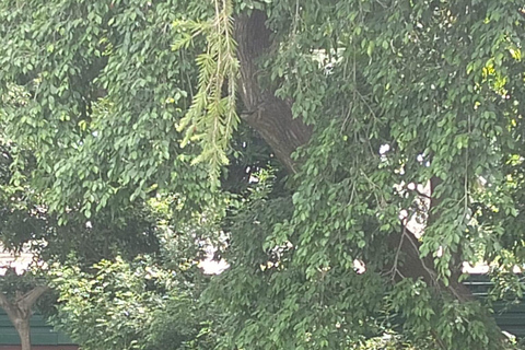 Indira Gandhi Museum: India’s 1st Woman Prime Minister