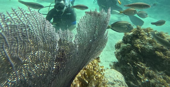 Punta Cana: Discover Scuba Diving Experience for Beginners