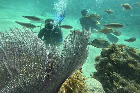 Punta Cana: Discover Scuba Diving Experience for Beginners