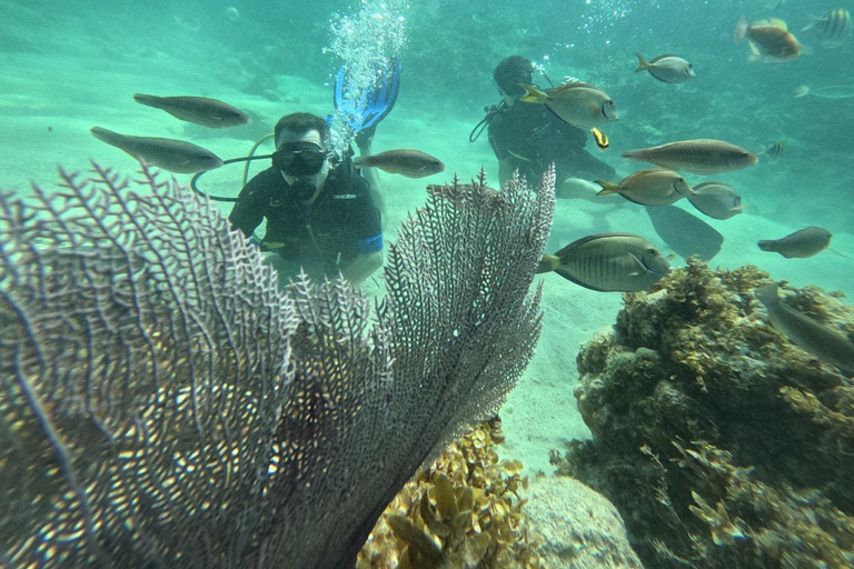 Punta Cana: Discover Scuba Diving Experience for Beginners