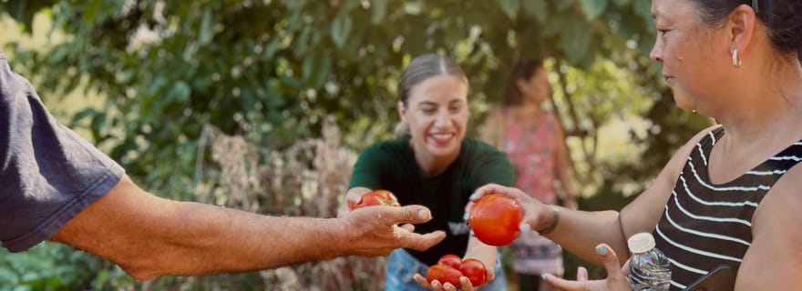 Région de La Canée : Cours de cuisine dans une ferme du village de Stylos