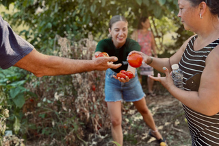 Chania Area: Cooking Class at a Farm in Stylos Village