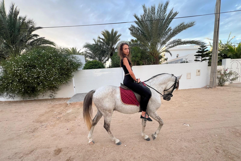 Djerba: Beginner Horse Riding Lesson for Adults and Children.