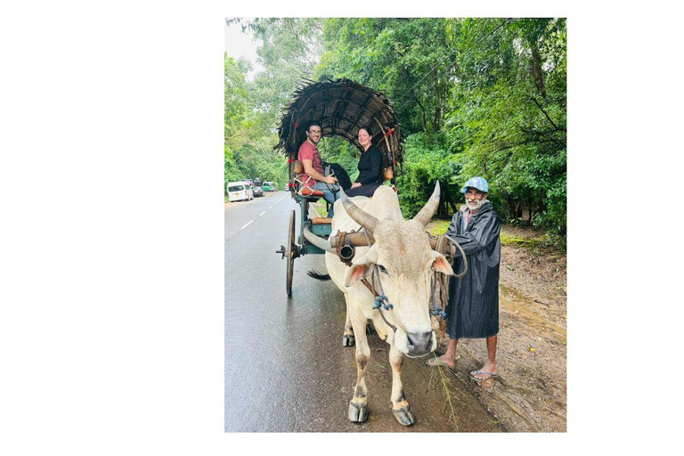 Da Kandy: Tour di un giorno da Dambulla a Sigiriya in auto di lussoTour di un giorno da Kandy a Sigiriya con un&#039;auto di lusso