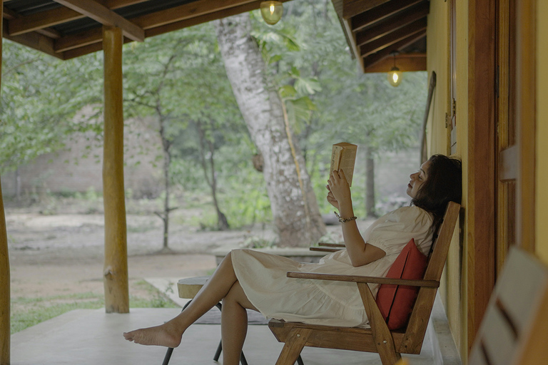 From Sigiriya: Sigiriya and Dambulla Day Tour Tour with mini van