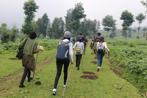 ¡Explora Musanze y Gisenyi para vivir momentos inolvidables!