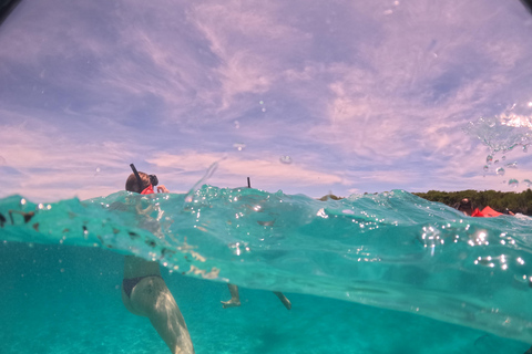From Punta Cana: Catalina Island with Lunch & Transportation SNORKELING PACK
