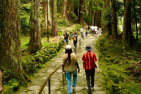 Guided Wakayama Heritage & Forest Trails with Hotel Pickup