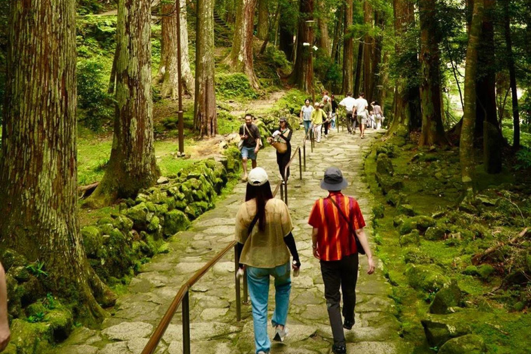 Guided Wakayama Heritage & Forest Trails with Hotel Pickup