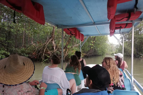 مانويل أنطونيو: جولة بالقارب بين أشجار المانغروف لمشاهدة الحيوانات