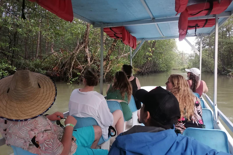 مانويل أنطونيو: جولة بالقارب بين أشجار المانغروف لمشاهدة الحيوانات