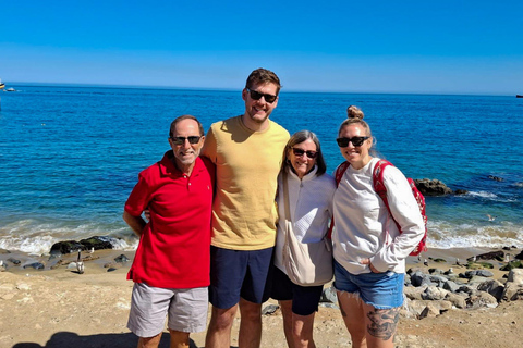 Santiago: Valparaíso Cruise Port Transfer & Vineyard Tour