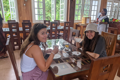Kandy: Tea Factory Tour with Tasting and Tuk-Tuk Ride