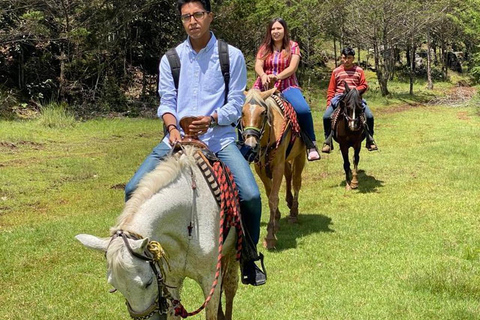 Go horseback riding in the forest and visit San Juan Chamula Horseback riding tour in the forest and visit San Juan Chamula