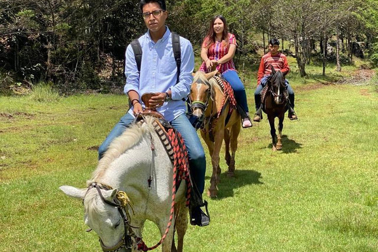 Go horseback riding in the forest and visit San Juan Chamula Horseback riding tour in the forest and visit San Juan Chamula