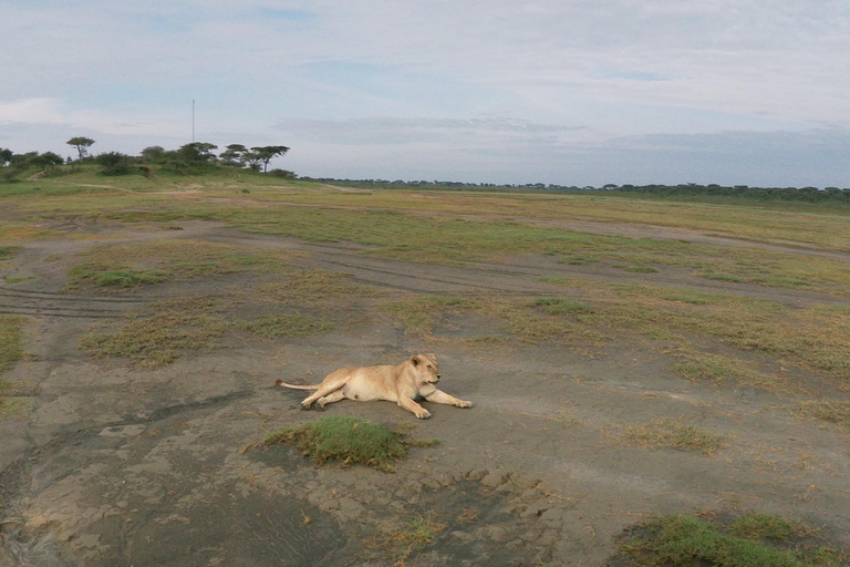 Safári econômico na Tanzânia: Serengeti, Ngorongoro e Tarangire