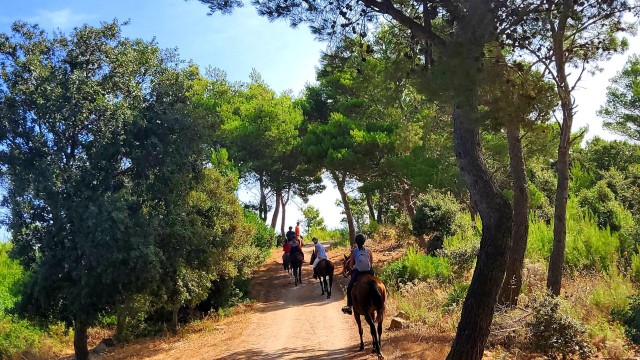 Visit Sedini horseback riding in Castelsardo area in Tempio Pausania