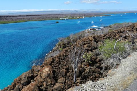 4-Day Galapagos Islands: Guided Tour Santa Cruz Island ENGLISH SPEAKING TOUR GUIDE