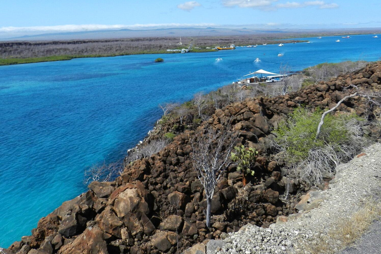 4-Day Galapagos Islands: Guided Tour Santa Cruz Island ENGLISH SPEAKING TOUR GUIDE