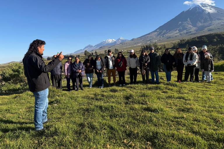 Explore Arequipa: A Day in Salinas with Flamingos, Hot Springs, and Photos Included
