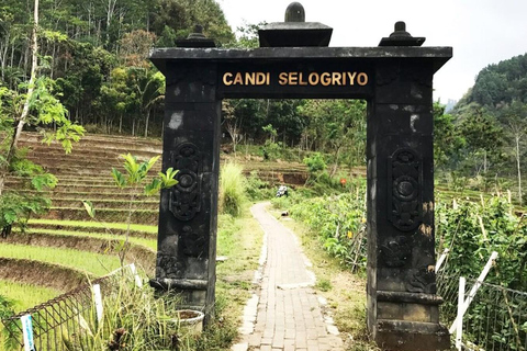 Yogyakarta: Tempio di Selogriyo e terrazza di riso Soft Trekking